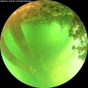 ./images/calvert/underwater/20260611/underwater20260611_123501M.jpg