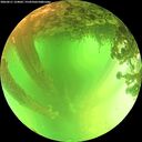 ./images/calvert/underwater/20260611/underwater20260611_124001M.jpg