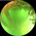 ./images/calvert/underwater/20260611/underwater20260611_124502M.jpg