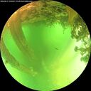 ./images/calvert/underwater/20260611/underwater20260611_125001M.jpg