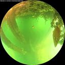 ./images/calvert/underwater/20260611/underwater20260611_125501M.jpg