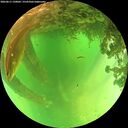 ./images/calvert/underwater/20260611/underwater20260611_130001M.jpg