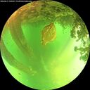 ./images/calvert/underwater/20260611/underwater20260611_130501M.jpg
