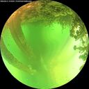 ./images/calvert/underwater/20260611/underwater20260611_131001M.jpg