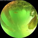 ./images/calvert/underwater/20260611/underwater20260611_131501M.jpg