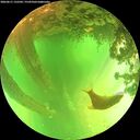 ./images/calvert/underwater/20260611/underwater20260611_132501M.jpg