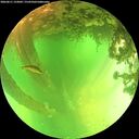 ./images/calvert/underwater/20260611/underwater20260611_133001M.jpg