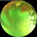 ./images/calvert/underwater/20260611/underwater20260611_133501M.jpg