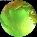 ./images/calvert/underwater/20260611/underwater20260611_134001M.jpg