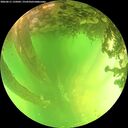 ./images/calvert/underwater/20260611/underwater20260611_135001M.jpg