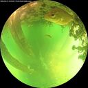 ./images/calvert/underwater/20260611/underwater20260611_135501M.jpg