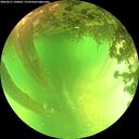 ./images/calvert/underwater/20260611/underwater20260611_140001M.jpg