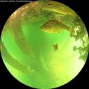 ./images/calvert/underwater/20260611/underwater20260611_140501M.jpg