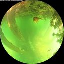 ./images/calvert/underwater/20260611/underwater20260611_141001M.jpg
