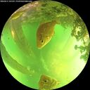 ./images/calvert/underwater/20260611/underwater20260611_141501M.jpg