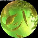 ./images/calvert/underwater/20260611/underwater20260611_144501M.jpg
