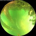 ./images/calvert/underwater/20260611/underwater20260611_145501M.jpg