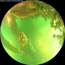 ./images/calvert/underwater/20260611/underwater20260611_150502M.jpg