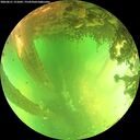 ./images/calvert/underwater/20260611/underwater20260611_151002M.jpg