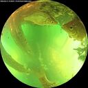 ./images/calvert/underwater/20260611/underwater20260611_153001M.jpg