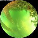 ./images/calvert/underwater/20260611/underwater20260611_153501M.jpg