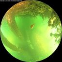 ./images/calvert/underwater/20260611/underwater20260611_154001M.jpg
