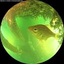./images/calvert/underwater/20260611/underwater20260611_154501M.jpg