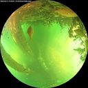 ./images/calvert/underwater/20260611/underwater20260611_155001M.jpg