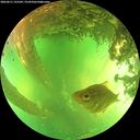 ./images/calvert/underwater/20260611/underwater20260611_155501M.jpg