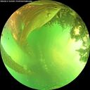 ./images/calvert/underwater/20260611/underwater20260611_161001M.jpg