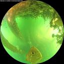 ./images/calvert/underwater/20260611/underwater20260611_163001M.jpg