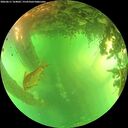 ./images/calvert/underwater/20260611/underwater20260611_164001M.jpg
