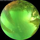 ./images/calvert/underwater/20260611/underwater20260611_164502M.jpg