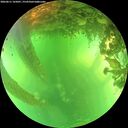 ./images/calvert/underwater/20260611/underwater20260611_165001M.jpg