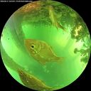 ./images/calvert/underwater/20260611/underwater20260611_165501M.jpg