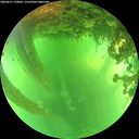 ./images/calvert/underwater/20260611/underwater20260611_170001M.jpg