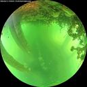 ./images/calvert/underwater/20260611/underwater20260611_170501M.jpg