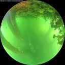 ./images/calvert/underwater/20260611/underwater20260611_171001M.jpg