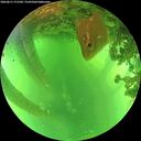 ./images/calvert/underwater/20260611/underwater20260611_171501M.jpg