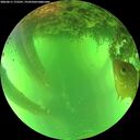 ./images/calvert/underwater/20260611/underwater20260611_172501M.jpg