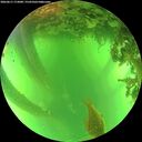 ./images/calvert/underwater/20260611/underwater20260611_173001M.jpg
