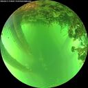 ./images/calvert/underwater/20260611/underwater20260611_174002M.jpg