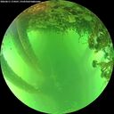 ./images/calvert/underwater/20260611/underwater20260611_174501M.jpg