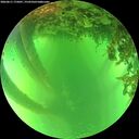 ./images/calvert/underwater/20260611/underwater20260611_175001M.jpg