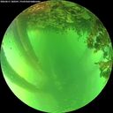 ./images/calvert/underwater/20260611/underwater20260611_180501M.jpg