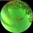./images/calvert/underwater/20260611/underwater20260611_181001M.jpg