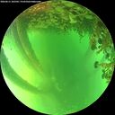 ./images/calvert/underwater/20260611/underwater20260611_182501M.jpg