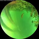 ./images/calvert/underwater/20260611/underwater20260611_183002M.jpg