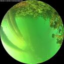 ./images/calvert/underwater/20260611/underwater20260611_185501M.jpg