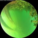 ./images/calvert/underwater/20260611/underwater20260611_191001M.jpg